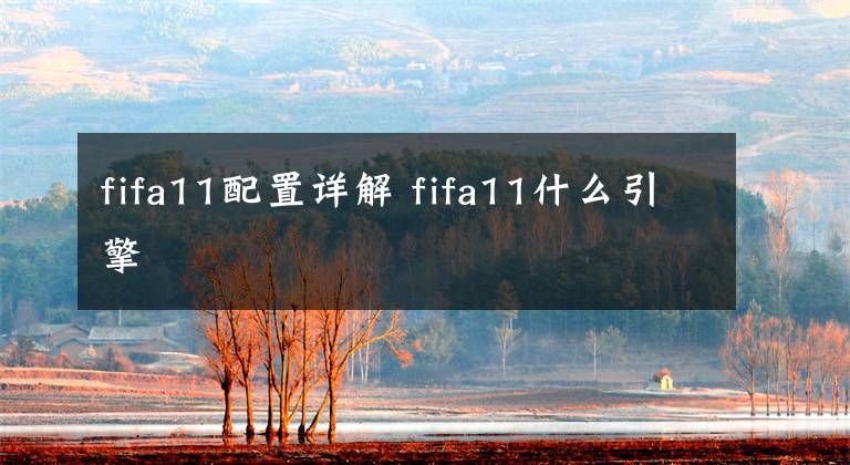 fifa11配置详解 fifa11什么引擎