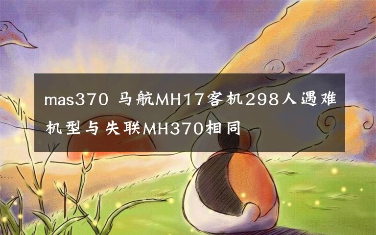 mas370 马航MH17客机298人遇难机型与失联MH370相同