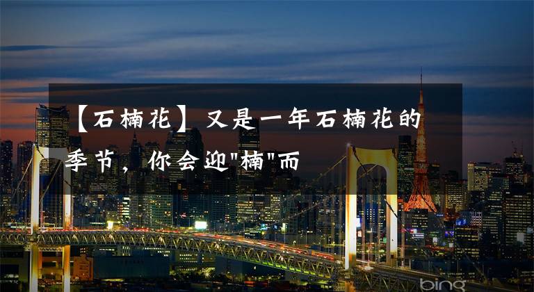 【石楠花】又是一年石楠花的季节，你会迎"楠"而上吗？