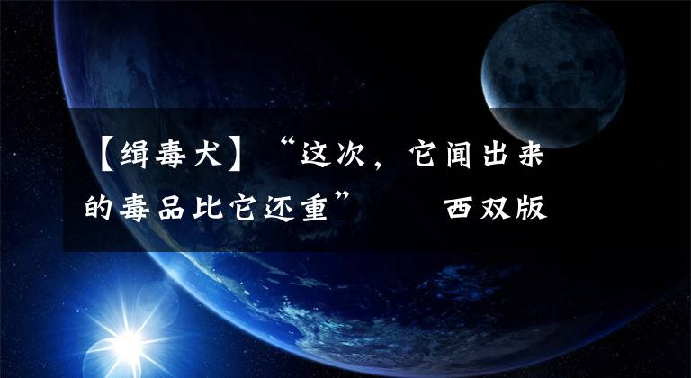 【缉毒犬】“这次，它闻出来的毒品比它还重”――西双版纳边境管理支队警犬“飓风”缉毒纪实