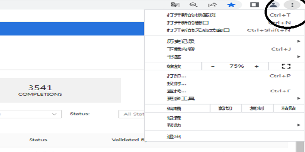 google浏览器英文版怎么设置成中文