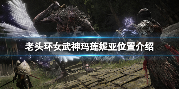 艾尔登法环女武神在哪 艾尔登法环操作心得