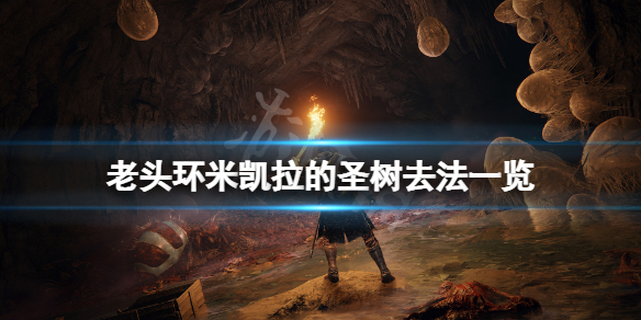 艾尔登法环米凯拉的圣树怎么去 艾尔登法环新手教程指南