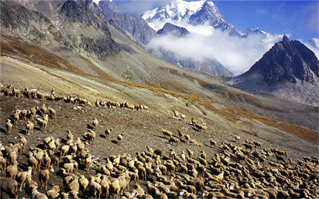 老山前线杜富 “你退后，让我来！”中越边境雷场，他用血肉之躯护住战友