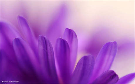 葫芦僧乱判葫芦案什么意思 红楼梦：“葫芦僧乱判葫芦案”是怎么一回事？写此故事目的何在