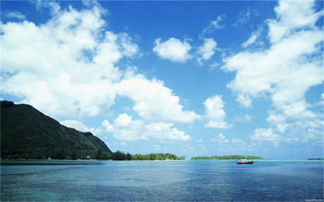 10月17日 十大机构预测明日股市行情大盘走势