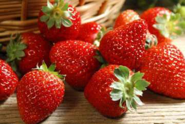 草莓怎么清洗 草莓里有激素吗 草莓怎么清洗好呢