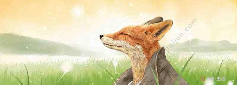 有关狐狸的成语 关于狐狸的成语 跟狐狸有关的词语