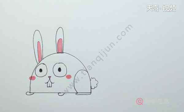 兔子画法 兔子的画法