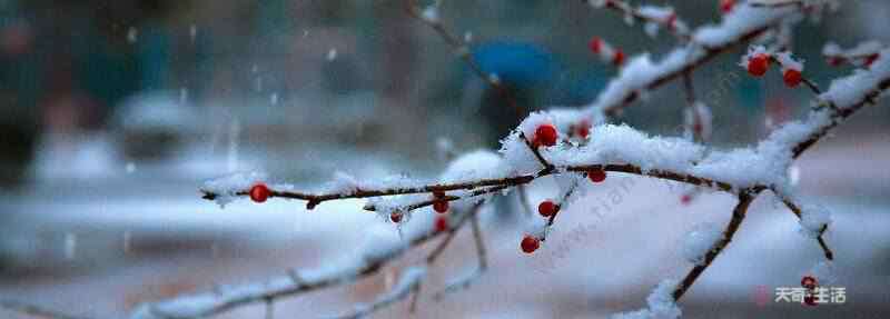 描写雪的诗词 描写雪的古诗有哪些 关于雪的诗句