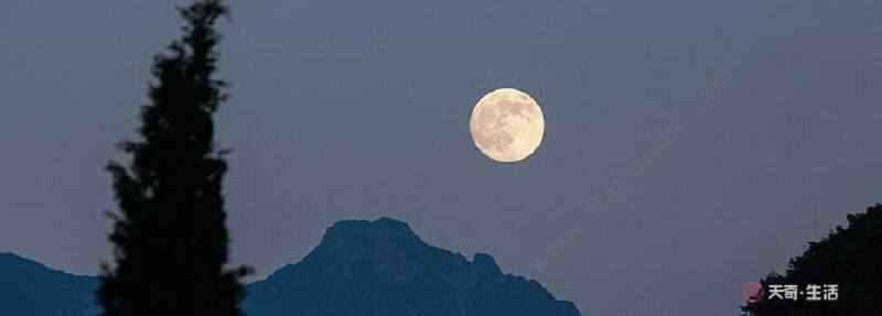 什么月是故乡明 月是故乡明的主题概括 月是故乡明的主题是什么