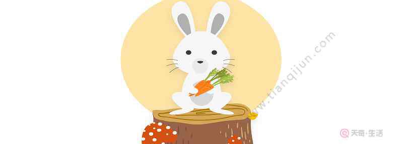 小白兔拔萝卜 小白兔拔萝卜的故事 小白兔拔萝卜的故事是什么