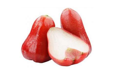 腰果是什么植物的果实 腰果是莲雾的果实吗 莲雾和腰果的区别