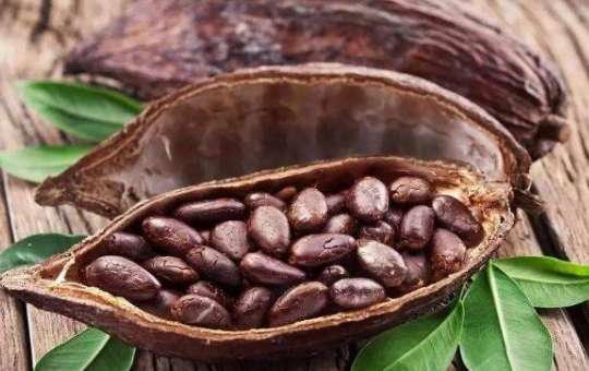 咖啡豆和可可豆 可可豆是什么 可可豆和咖啡豆的区别