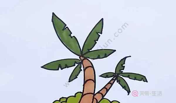 椰树简笔画 椰子树简笔画 椰子树简笔画带颜色