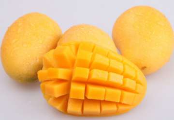 芒果成熟的季节是几月 芒果什么时候成熟上市 几月份吃好