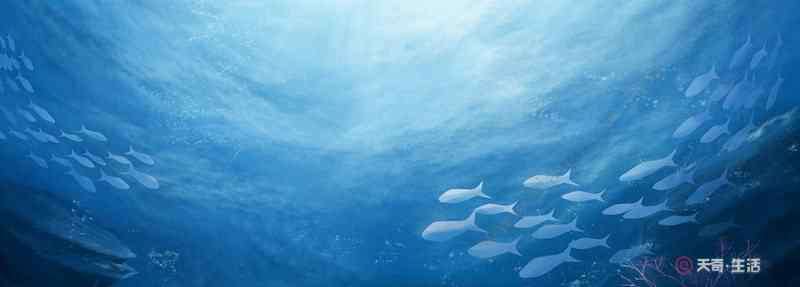 海底两万里人物介绍 海底两万里的主人公是谁 海底两万里的主人公