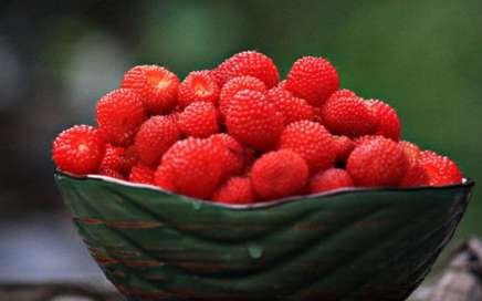 树莓和覆盆子的区别 覆盆子和树莓的区别 覆盆子是树莓吗