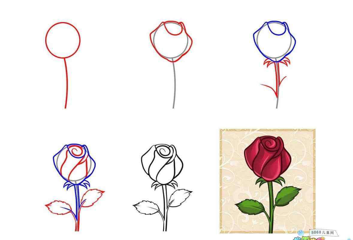 玫瑰花的画法20步 6步教你画漂亮的玫瑰花_简笔画花的步骤教程