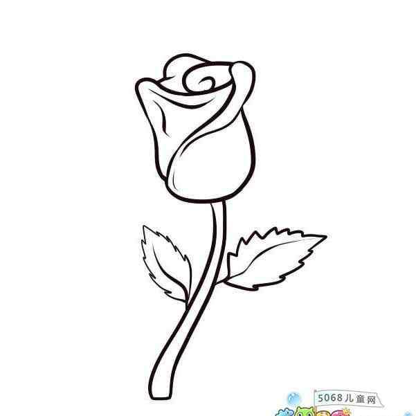 一笔画玫瑰花 一支漂亮的玫瑰花的简笔画图片
