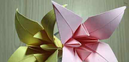 正方形折纸大全图解 简单折纸花大全 图解-百合花开