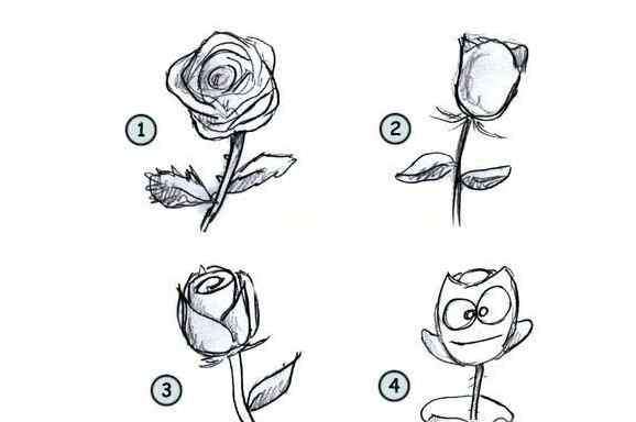 玫瑰花画法 简笔画玫瑰花的画法_玫瑰花的形态