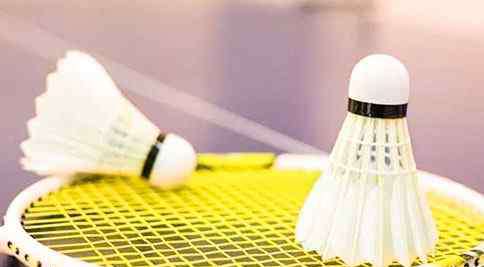 羽毛球比赛 羽毛球比赛规则介绍