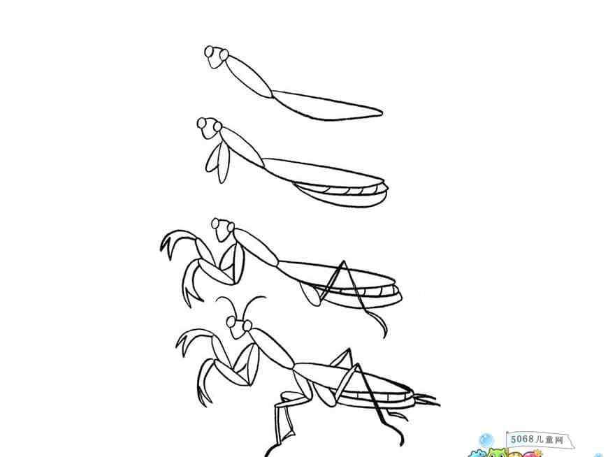 螳螂怎么画 螳螂简笔画图片_卡通可爱的螳螂儿童绘画图集