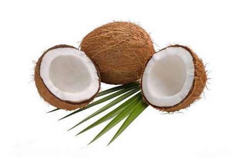 椰子汁什么味道 椰子坏了是什么味道 椰子变质是什么味道