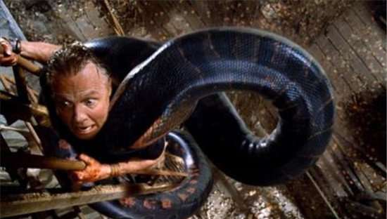 东河惊魂 关于蟒蛇的电影大全 蟒蛇的电影推荐