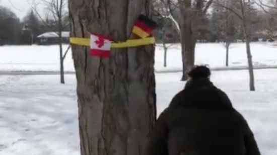 德国国旗 糗大了！加拿大挂德国国旗“迎接”比利时国王夫妇