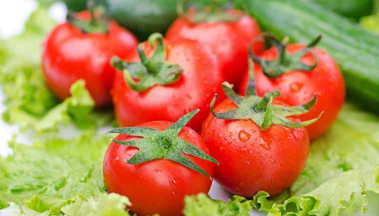 有机蔬菜基地 央视曝光有机蔬菜 多种有机蔬菜有禁用农药残留