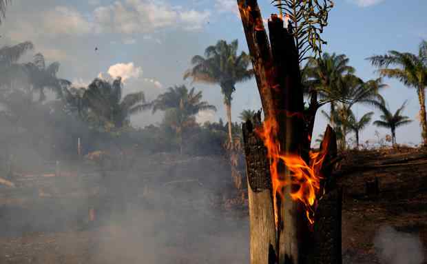 亚马逊大火 亚马逊雨林大火原因是什么？亚马逊雨林为什么会发生大火？