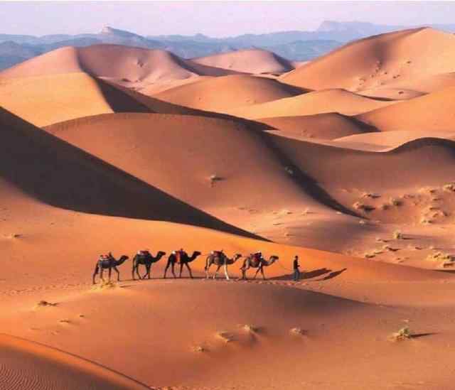沙漠骆驼歌曲原唱 沙漠骆驼歌词试听地址，沙漠骆驼原唱是谁展展与罗罗个人资料