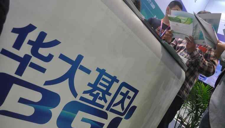 华大集团做什么 华大基因圈地之谜 前合伙人实名举报华大套骗土地资源