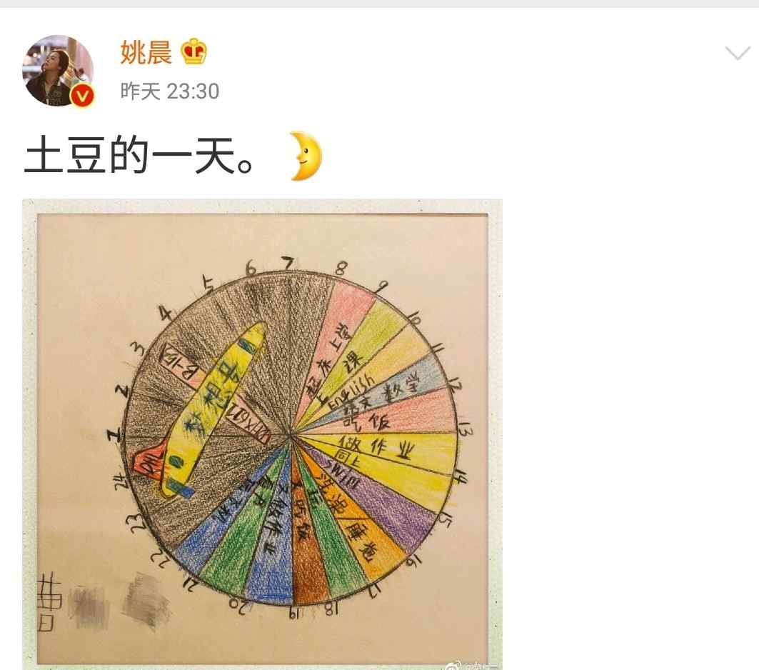 姚晨个人资料 姚晨晒儿子自制一天规划表怎么回事 姚晨儿子女儿正面照曝光