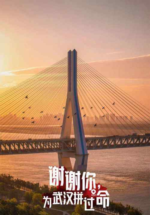 武汉名片设计 31张武汉城市名片怎么回事？武汉为什么制作31张城市名片【组图】