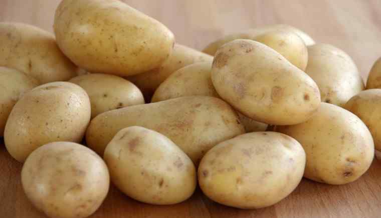 欧洲土豆减产 欧洲土豆减产 土豆价格飙涨到每吨250欧元