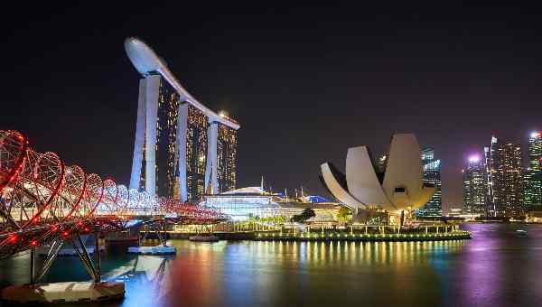  申请新加坡本科留学需要什么条件？