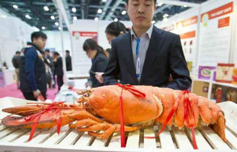 金花茶价格多少钱一斤 澳洲龙虾多少钱一斤 消费者该怎样挑选？