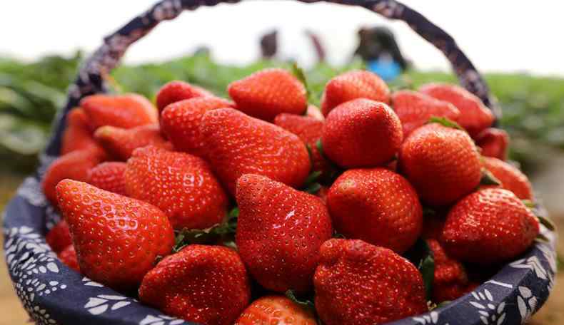 哪些人不宜吃草莓 草莓多少钱一斤2017 哪些人不适合吃草莓