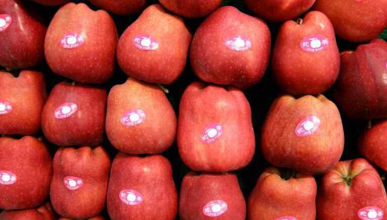 花牛苹果的功效与作用 花牛果多少钱一斤 花牛苹果有哪些功效与作用
