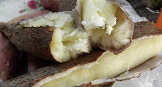 木薯有毒为什么还吃 木薯有毒为什么还吃 木薯可以直接蒸来吃吗?