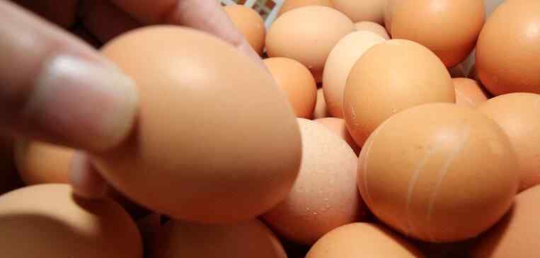 生鸡蛋能放多久 买散装鸡蛋一般能放多久 一天吃几个鸡蛋好