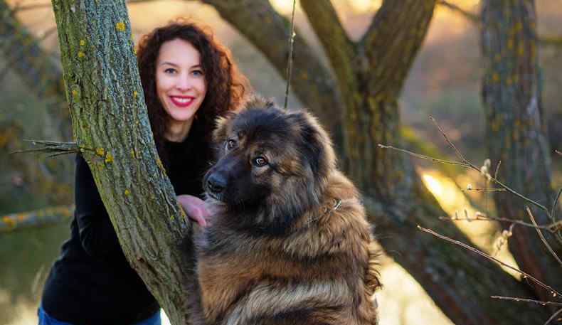 高加索犬介绍 世界上最大的狗 高加索犬多少钱一只？