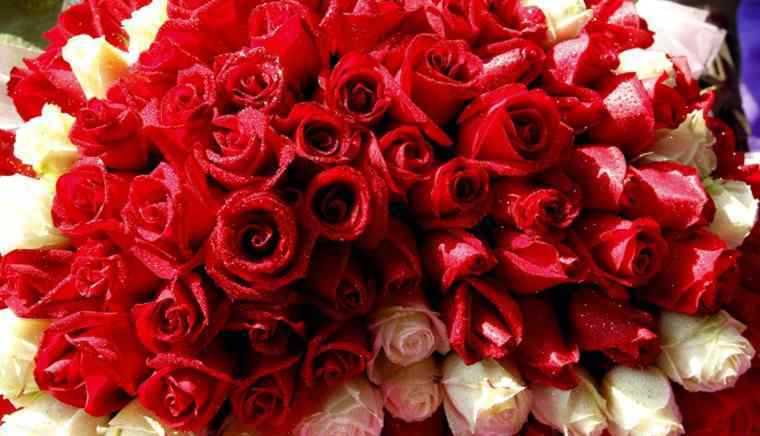 玫瑰花价格 玫瑰花多少钱一束 2018七夕玫瑰花价格会上涨吗？