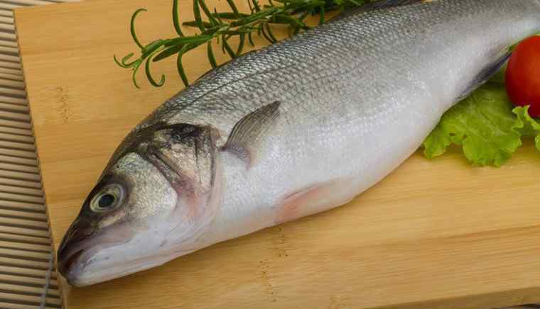 海鲈鱼和淡水鲈鱼的区别 2018淡水鲈鱼多少钱一斤 哪些人群不能吃淡水鲈鱼