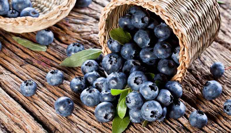 蓝莓是什么季节的水果 新鲜蓝莓多少钱一斤 蓝莓一般什么时候上市