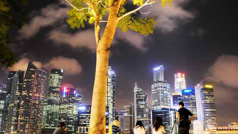 去新加坡旅游多少钱 新加坡5天4夜多少钱 2019旅游团5日游报价