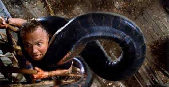 与蟒蛇有关的电影 关于蟒蛇的电影大全 蟒蛇的电影推荐